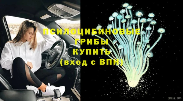 не бодяженный Арсеньев