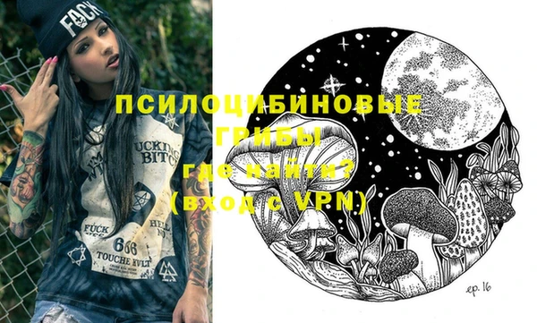 не бодяженный Арсеньев