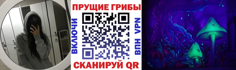 Псилоцибиновые грибы GOLDEN TEACHER  сколько стоит  Приморско-Ахтарск 